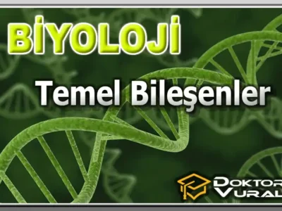 ders küçük resmi
