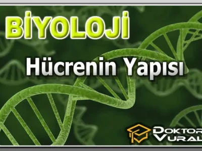 ders küçük resmi