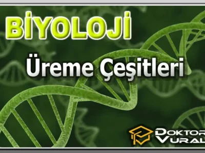 ders küçük resmi