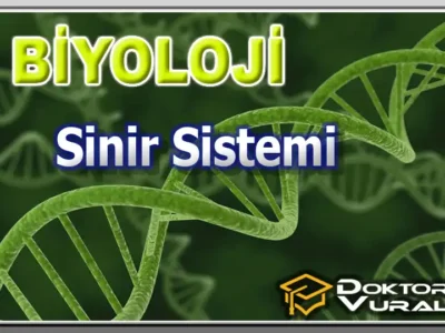 ders küçük resmi