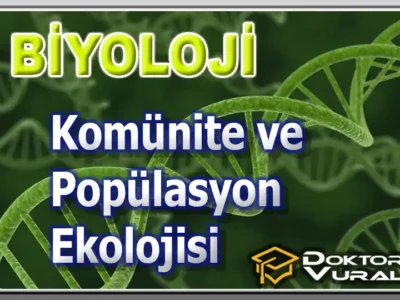 ders küçük resmi