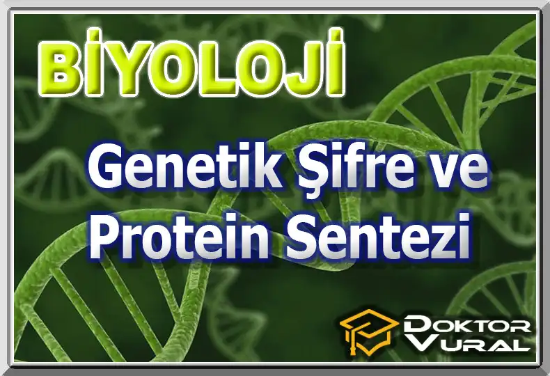 logo_biyolojiayt_11