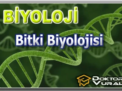 ders küçük resmi