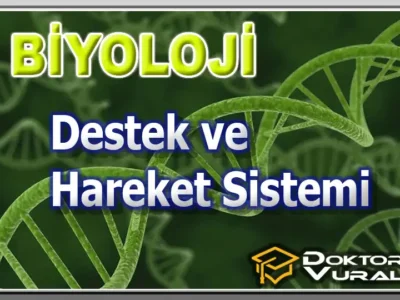 ders küçük resmi