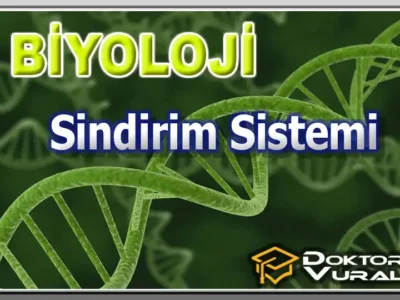 ders küçük resmi