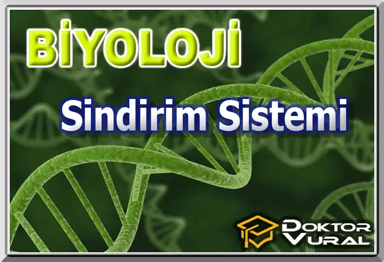 logo_biyolojiayt_5