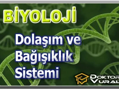 ders küçük resmi