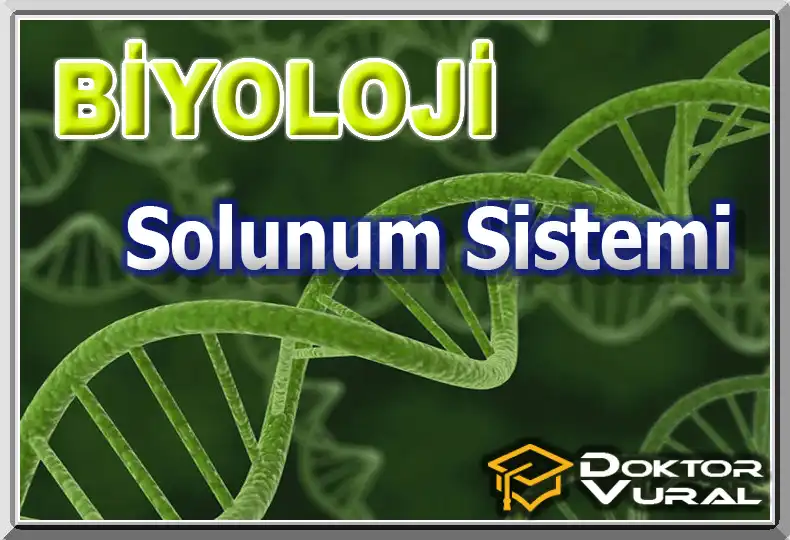 logo_biyolojiayt_7