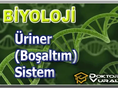 ders küçük resmi