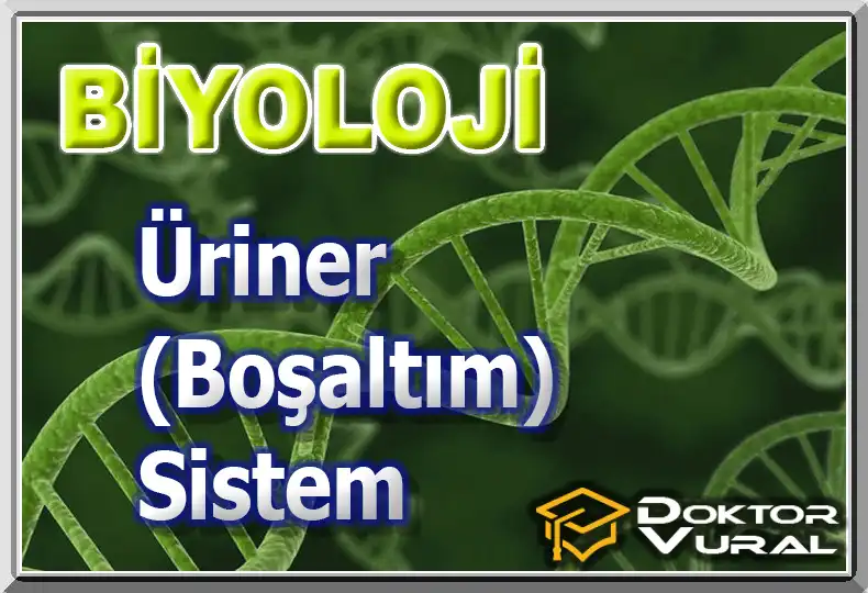 logo_biyolojiayt_8